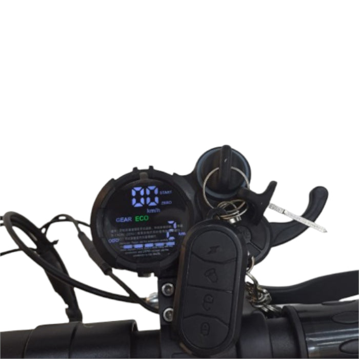 Reddydy Electric Scooter