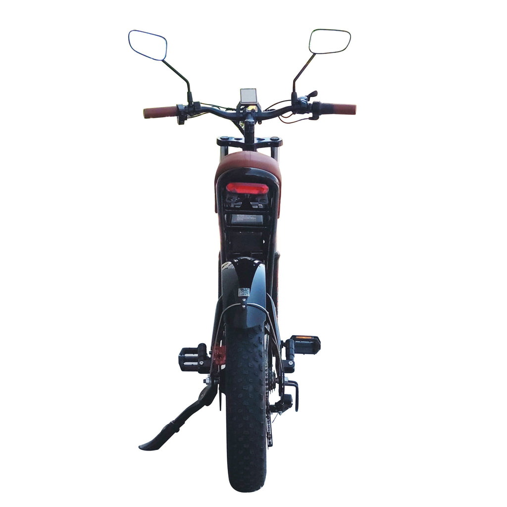 Kugoo V5 Electric Bike