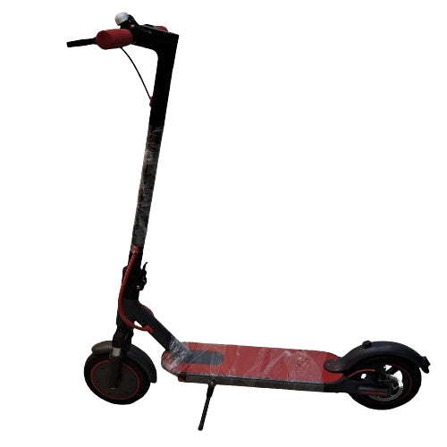 RW Bro-E Electric Scooter
