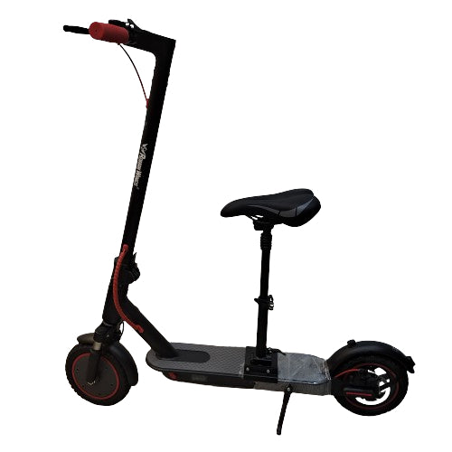 RW Bro-E Electric Scooter