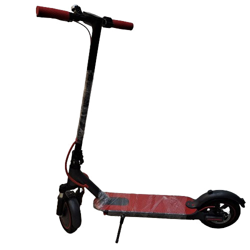 RW Bro-E Electric Scooter