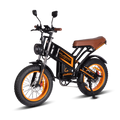 Kugoo V5 Electric Bike