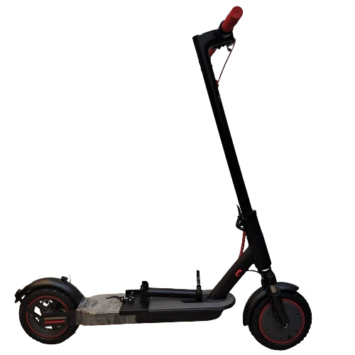 RW Bro-E Electric Scooter