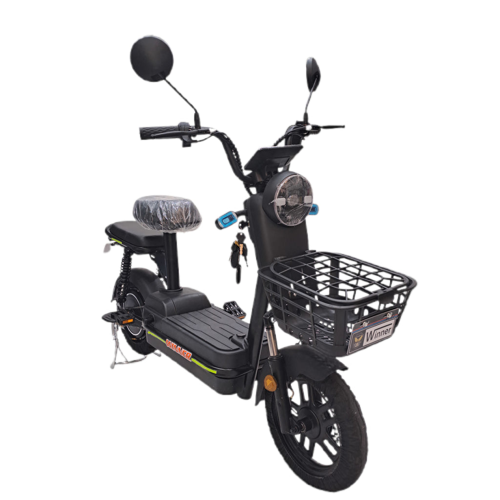 Flora VLRA Electric Bike