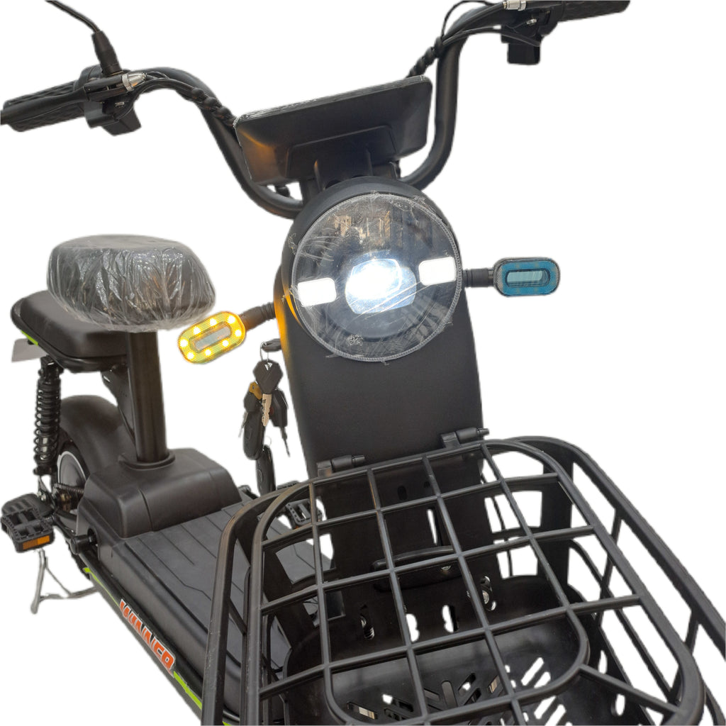 Flora VLRA Electric Bike