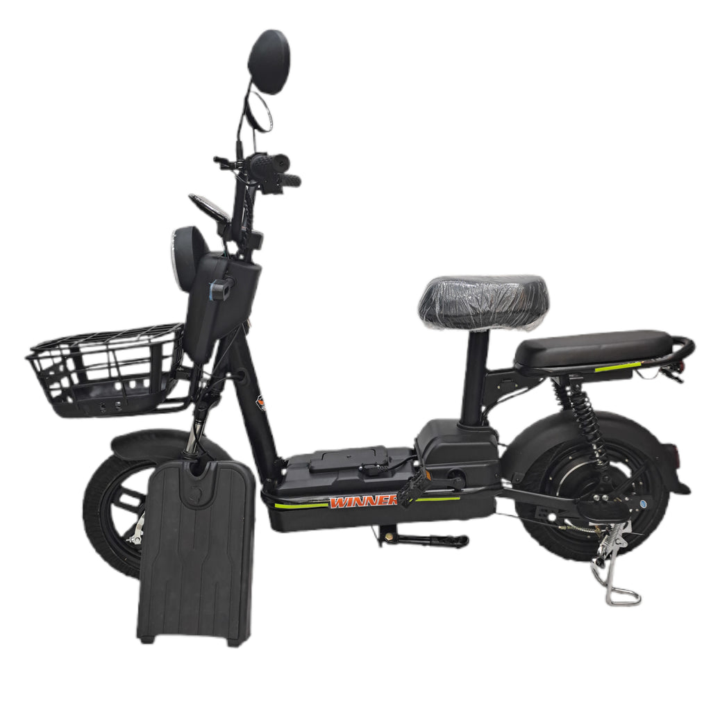 Flora VLRA Electric Bike