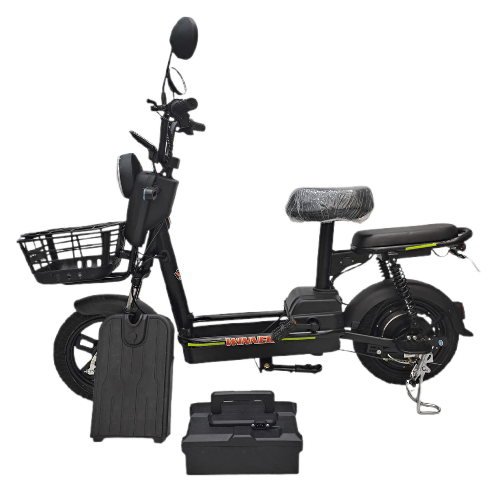 Flora VLRA Electric Bike