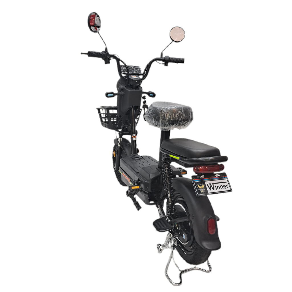 Flora VLRA Electric Bike