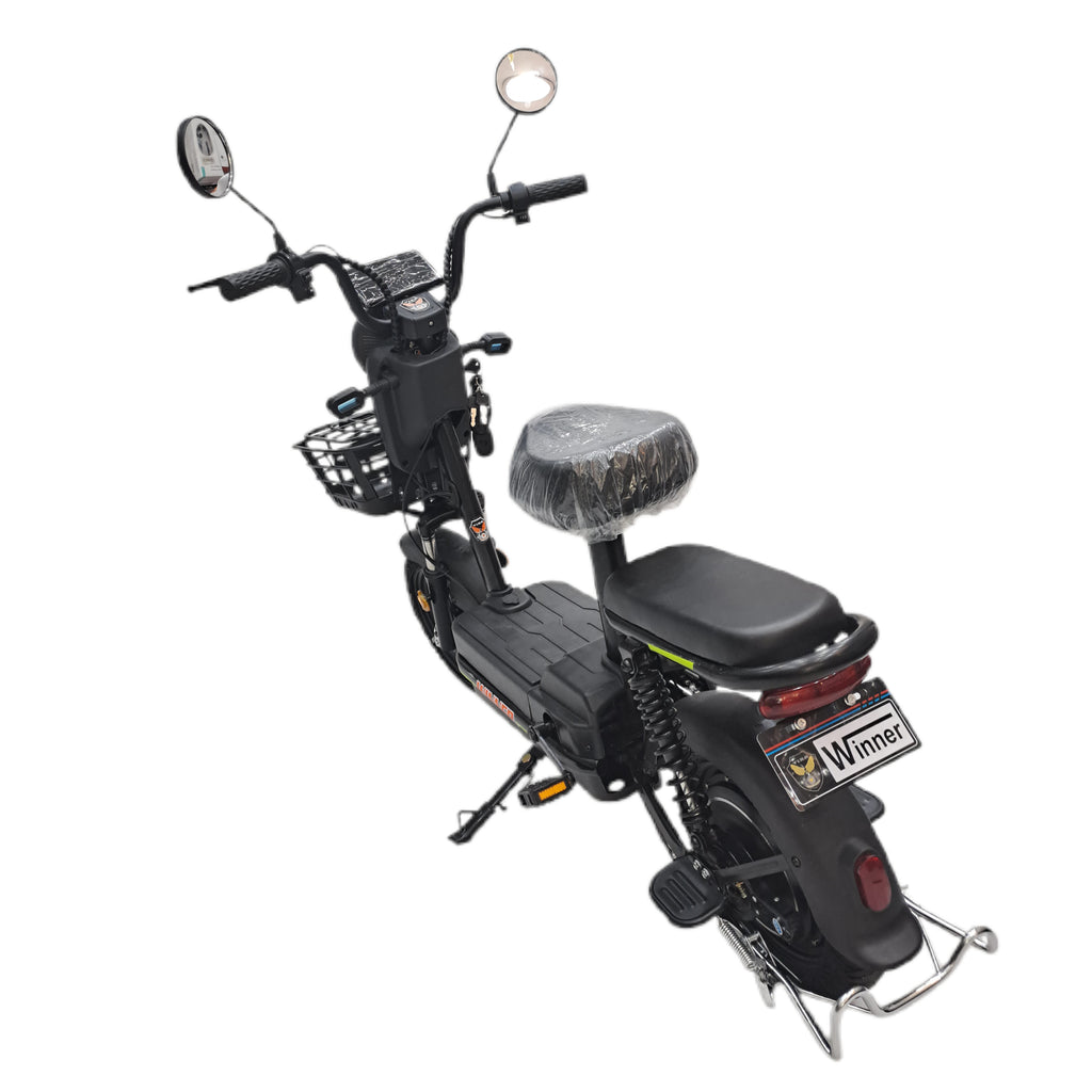 Flora VLRA Electric Bike