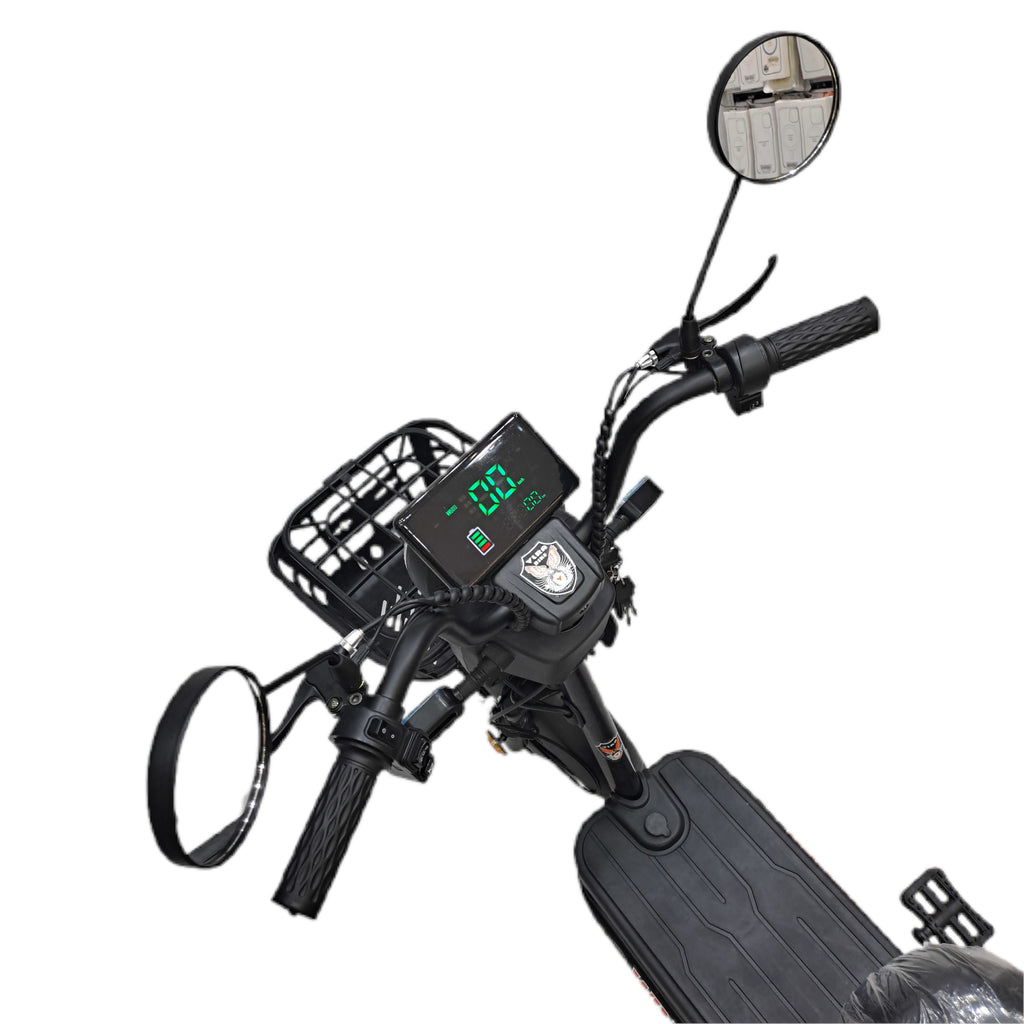 Flora VLRA Electric Bike