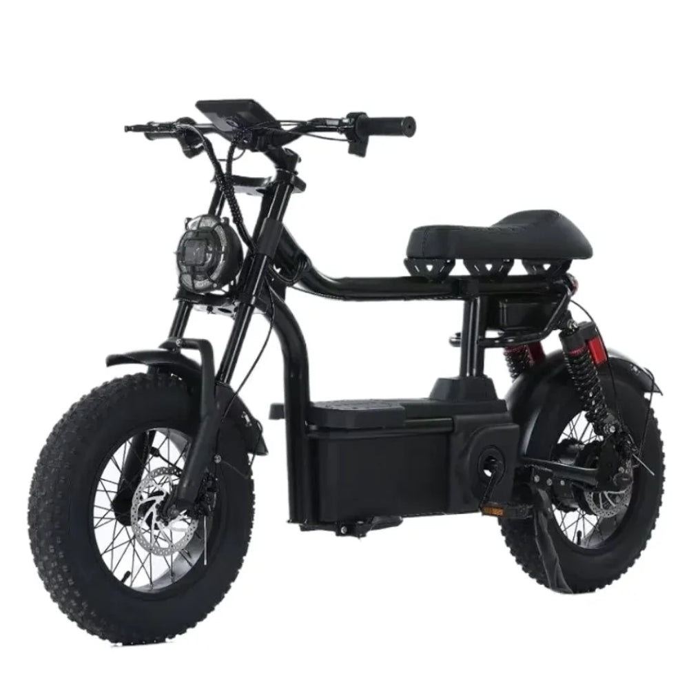 Kugoo T1