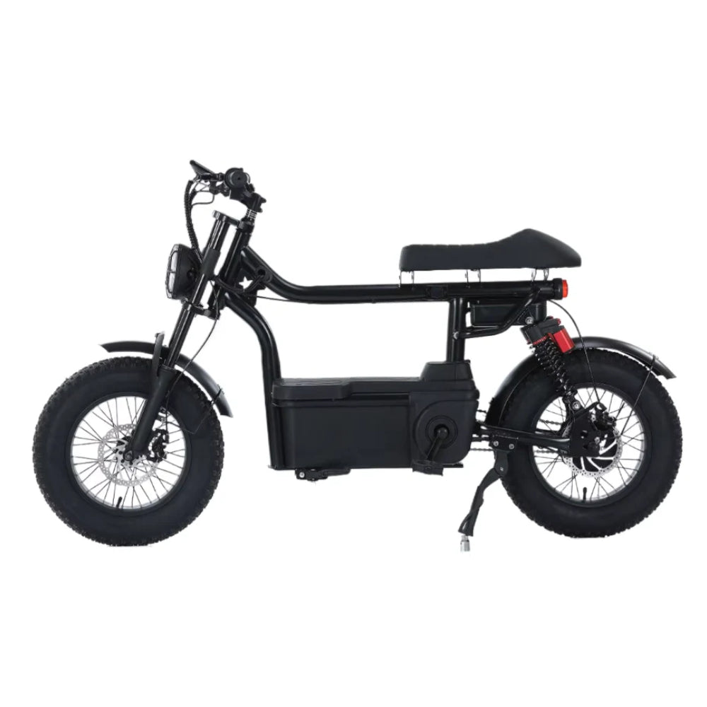 Kugoo T1