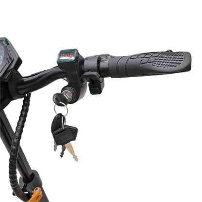 Rohan Wings 1200 Electric Scooter