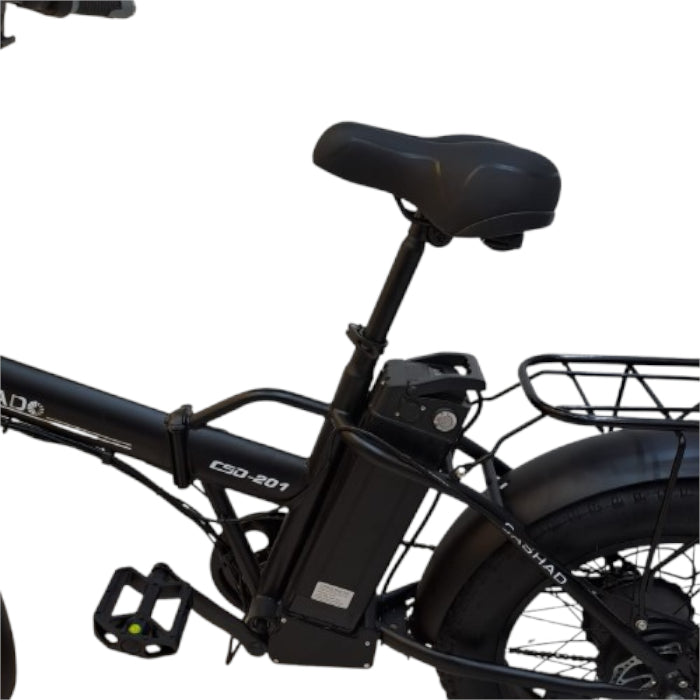 Winnersky 201 Ebike