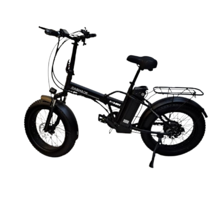 Winnersky 201 Ebike